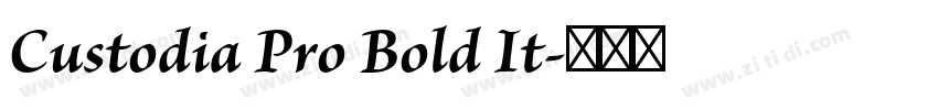 Custodia Pro Bold It字体转换